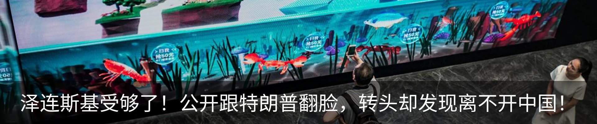 新闻动态